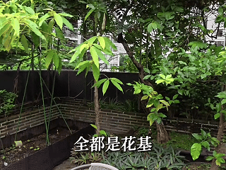 7月20日(1).gif